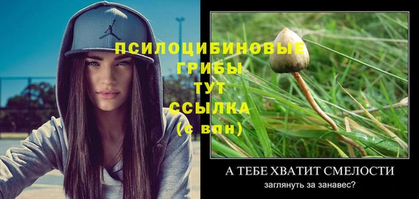 МДПВ Алексеевка