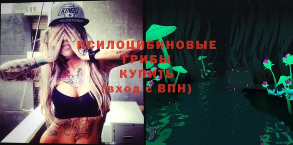 apvp Слюдянка